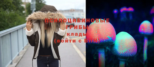 сатива Баксан