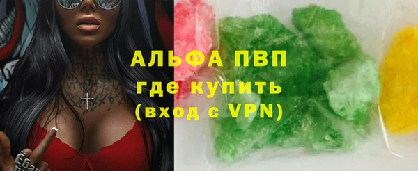 сатива Баксан